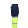 Picture of DNC 2TONE BIOMOTION TAPED CARGO PANTS 3363