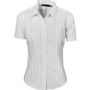 Picture of DNC Ladies Stretch Yarn Dyed Contrast Stripe Sh irts -Short Sleeve 4233