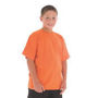 Picture of DNC Kids Cotton Tee 5102